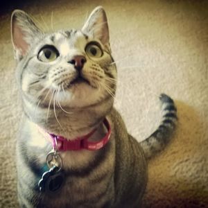 Meet your Posher, Taylor